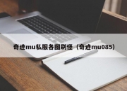 奇迹mu私服各图刷怪（奇迹mu085）