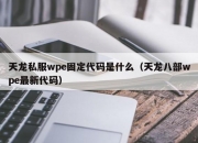 天龙私服wpe固定代码是什么（天龙八部wpe最新代码）